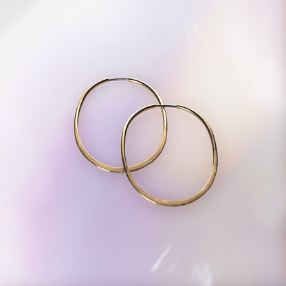 Fine Metamorphic Hoops image 0