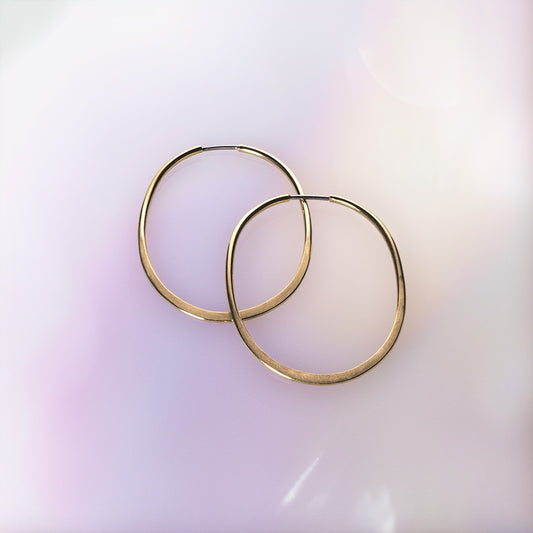 Fine Metamorphic Hoops image 0