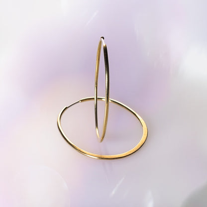 Fine Metamorphic Hoops image 1