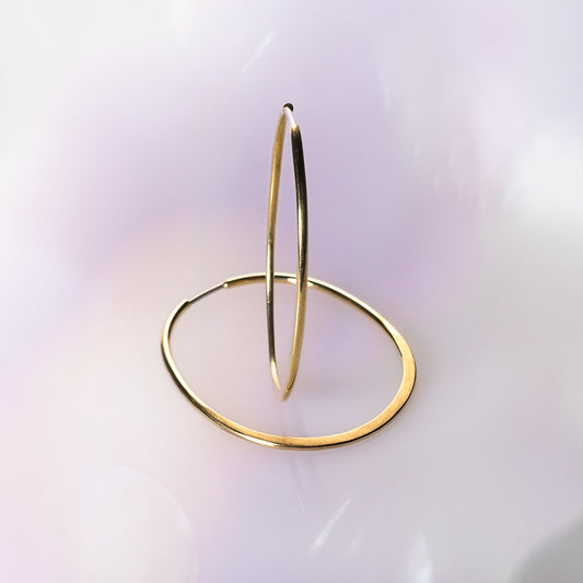 Fine Metamorphic Hoops image 1